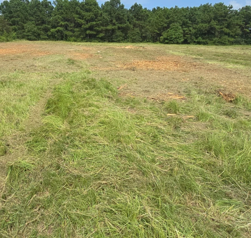 Tree Removal & Property Clearing 1